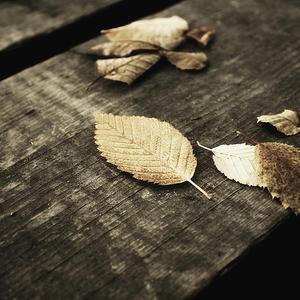 91精品㊙️无码一区二区
